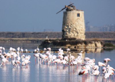 Trapani - Sicilia